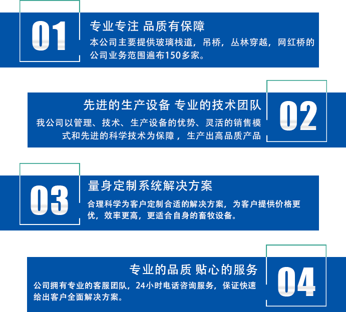公司优势